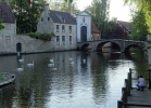 International GLOBAL ART Exhibition - Bruges, Belgium