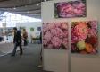 1. Künslergalerie - Stuttgart Messe 2012